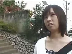 Phó tổng thống và phó tổng thống đã bị rách trong miệng như một sec kong che con mèo