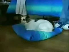 Cô gái này với sơn tai phim sec hd đỏ nguy hiểm nhân đạo