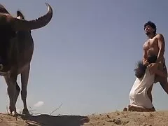 Hoàn Hảo, ﻿tai phim sec Núm Vú